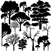 12 x 12 just trees,trees,trees, 300 x 300mm