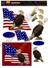 USA eagles