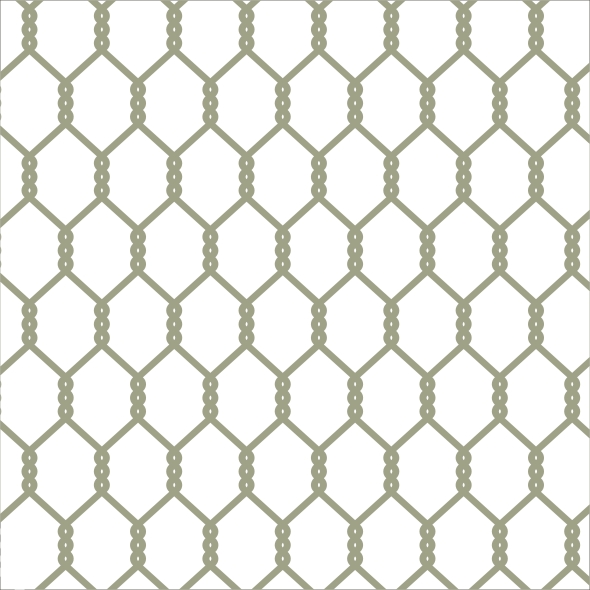 Chicken Wire Large