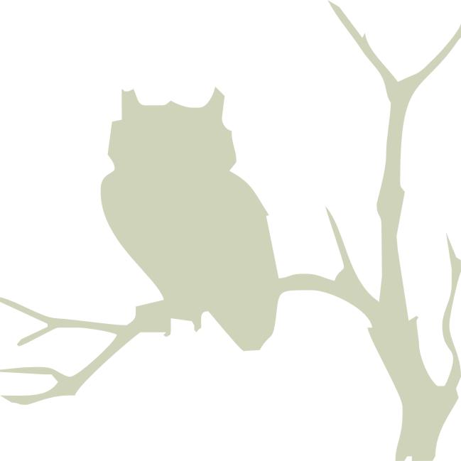 Owl Silhouette