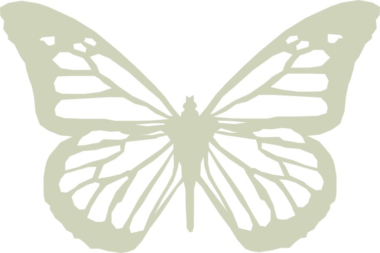 Butterfly 2