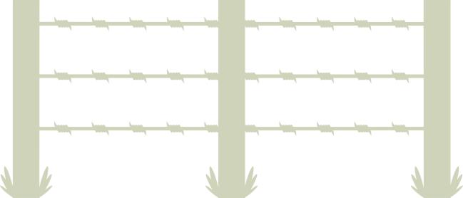 Small Barb Wire Fence