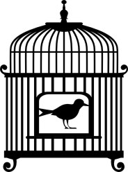 Bird cage with bird vintage 607 x 105  mm min buy 3