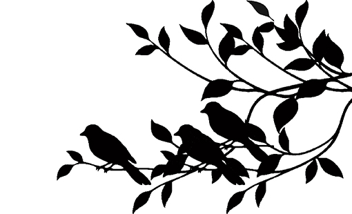 Birds on a branch  220x160 min buy 3